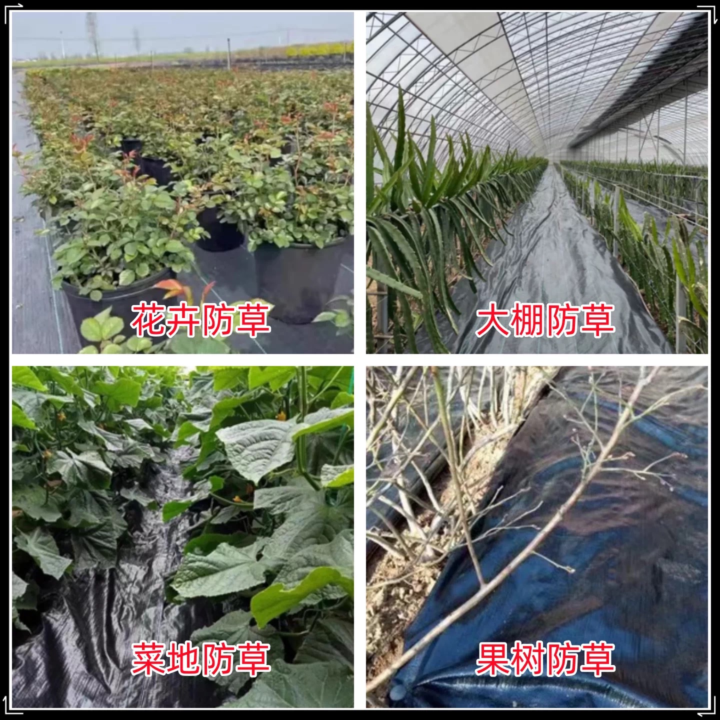三门峡市地膜防草布 - 价格