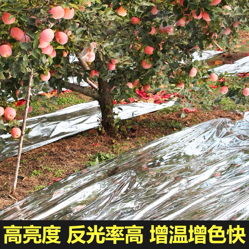 三门峡市地膜果树反光膜 - 价格